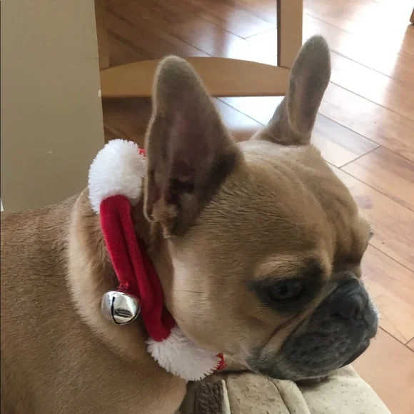 NEW Jingle bell collar Scrunchie dogs cats Christmas - Picture 2 of 3